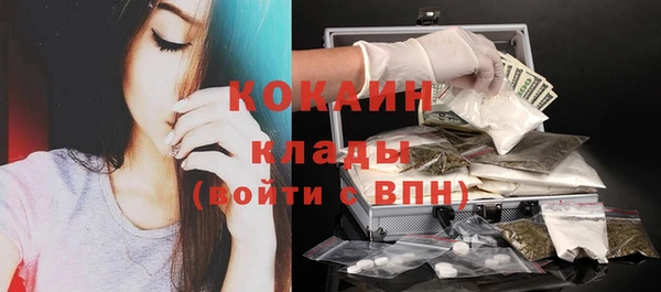 PSILOCYBIN Лабытнанги