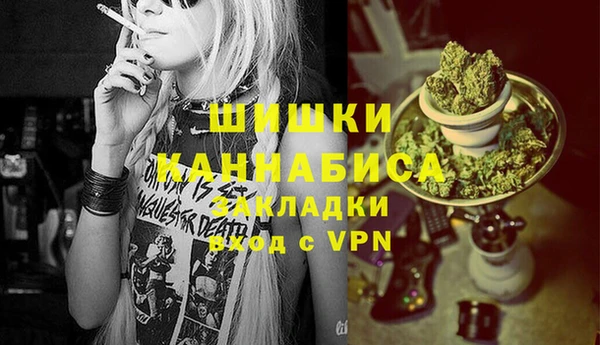 PSILOCYBIN Лабытнанги