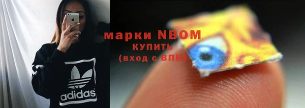 PSILOCYBIN Лабытнанги
