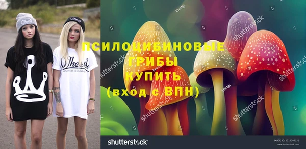 spice Великий Новгород