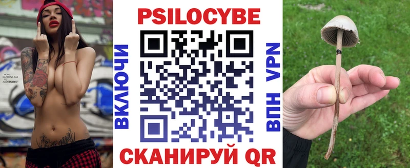 Псилоцибиновые грибы Cubensis  Королёв 
